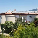 Dolphin Apartment Fethiye