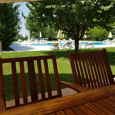 Dolphin * Fethiye