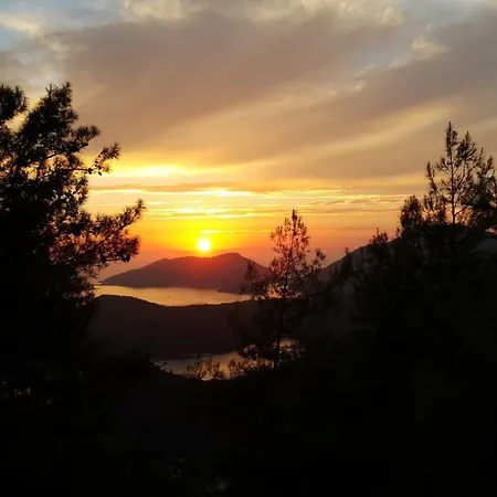 Dolphin Apartamento Fethiye