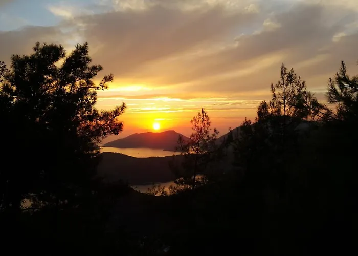 Dolphin Appartement Fethiye